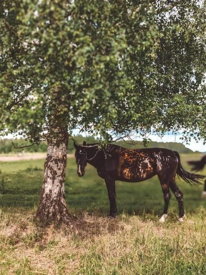 Stamerienas Apartamenti Buitenkant foto